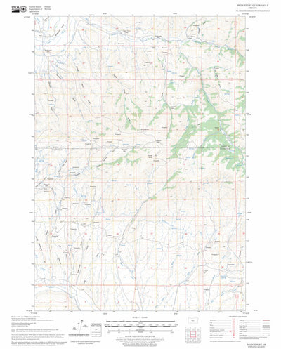 US Forest Service - Topo Bridgeport, OR FSTopo Legacy digital map