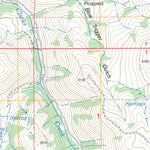 US Forest Service - Topo Bridgeport, OR FSTopo Legacy digital map