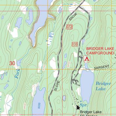 US Forest Service - Topo Bridger Lake, UT - WY FSTopo Legacy digital map