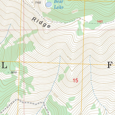 US Forest Service - Topo Brief, WA FSTopo Legacy digital map