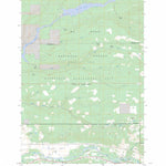 US Forest Service - Topo Brightwood, OR FSTopo Legacy digital map