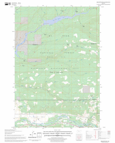 US Forest Service - Topo Brightwood, OR FSTopo Legacy digital map