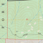 US Forest Service - Topo Brinnon, WA FSTopo Legacy digital map