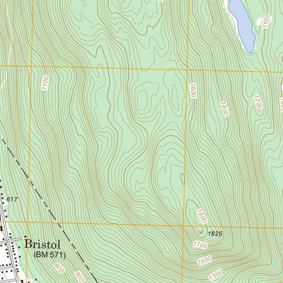 US Forest Service - Topo Bristol, VT FSTopo Legacy digital map