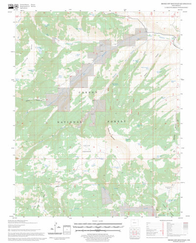 US Forest Service - Topo Broke Off Mountain, NM FSTopo Legacy digital map