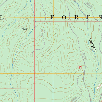 US Forest Service - Topo Brookbank Point, AZ FSTopo Legacy digital map