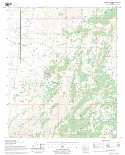 US Forest Service - Topo Brooklyn Peak, AZ FSTopo Legacy digital map