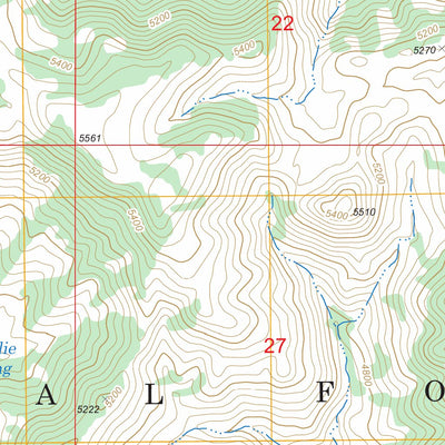 US Forest Service - Topo Brooklyn Peak, AZ FSTopo Legacy digital map