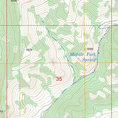 US Forest Service - Topo Brooklyn Peak, AZ FSTopo Legacy digital map