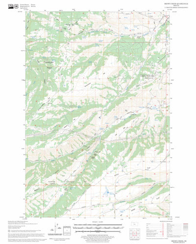 US Forest Service - Topo Brown Creek, OR FSTopo Legacy digital map