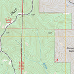 US Forest Service - Topo Brownbranch, MO FSTopo Legacy digital map