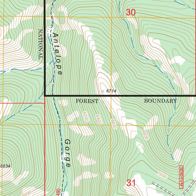 US Forest Service - Topo Browns Canyon, MT FSTopo Legacy digital map