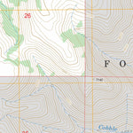 US Forest Service - Topo Browns Hole, UT FSTopo Legacy digital map