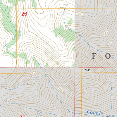 US Forest Service - Topo Browns Hole, UT FSTopo Legacy digital map
