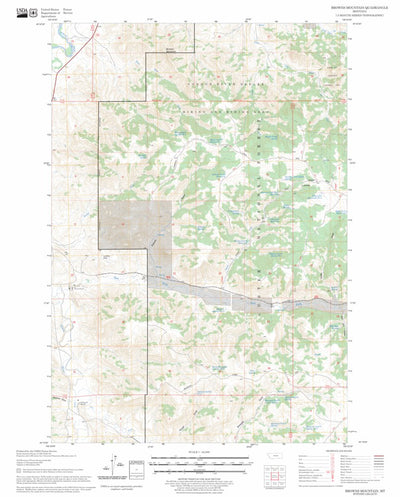 US Forest Service - Topo Browns Mountain, MT FSTopo Legacy digital map