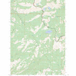 US Forest Service - Topo Bruin Hill, ID - MT FSTopo Legacy digital map