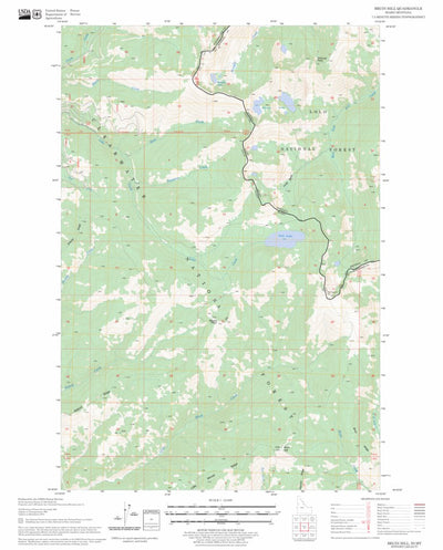 US Forest Service - Topo Bruin Hill, ID - MT FSTopo Legacy digital map