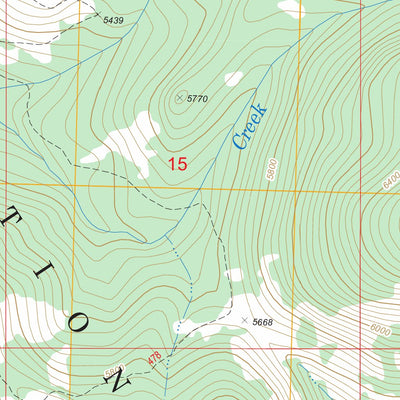 US Forest Service - Topo Bruin Hill, ID - MT FSTopo Legacy digital map