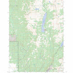 US Forest Service - Topo Brundage Mountain, ID FSTopo Legacy digital map