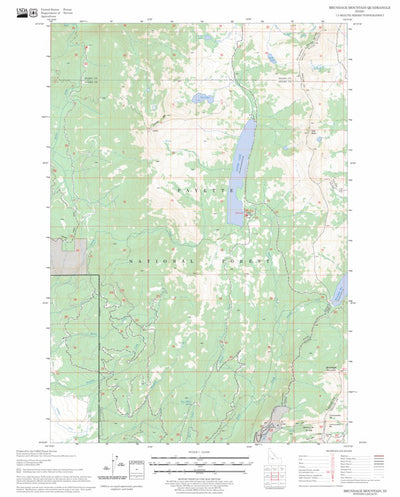 US Forest Service - Topo Brundage Mountain, ID FSTopo Legacy digital map