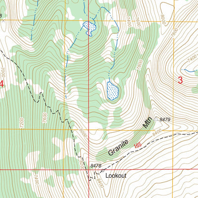 US Forest Service - Topo Brundage Mountain, ID FSTopo Legacy digital map