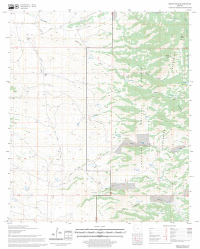 US Forest Service - Topo Bruno Peak, AZ FSTopo Legacy digital map