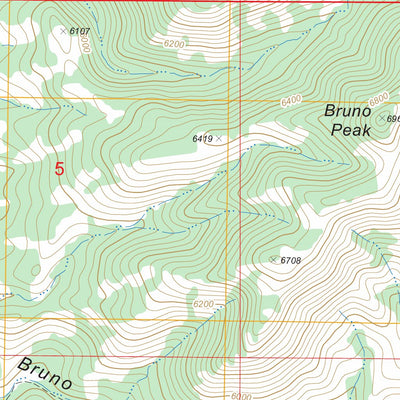 US Forest Service - Topo Bruno Peak, AZ FSTopo Legacy digital map