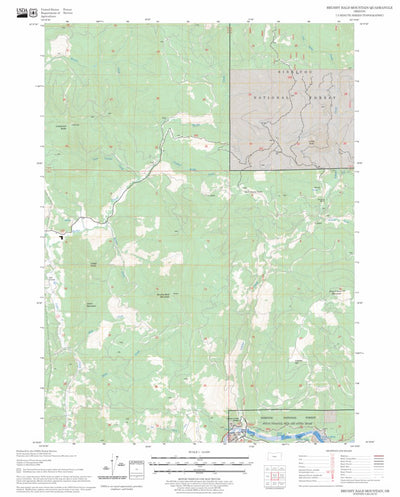 US Forest Service - Topo Brushy Bald Mountain, OR FSTopo Legacy digital map