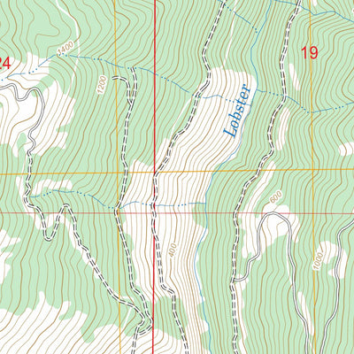 US Forest Service - Topo Brushy Bald Mountain, OR FSTopo Legacy digital map