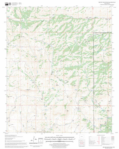 US Forest Service - Topo Brushy Mountain, NM FSTopo Legacy digital map