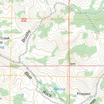 US Forest Service - Topo Brushy Mountain, NM FSTopo Legacy digital map
