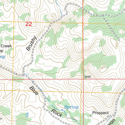 US Forest Service - Topo Brushy Mountain, NM FSTopo Legacy digital map