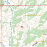 US Forest Service - Topo Brushy Mountain, NM FSTopo Legacy digital map