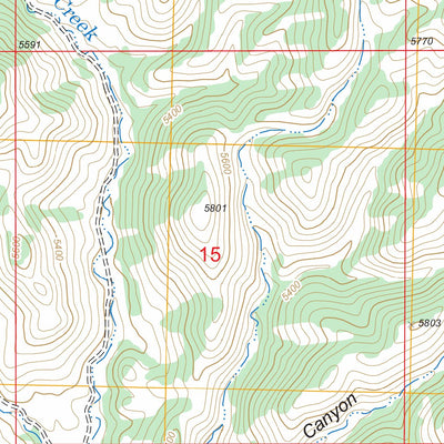 US Forest Service - Topo Brushy Mountain, NM FSTopo Legacy digital map