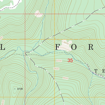 US Forest Service - Topo Bubbling Springs, MT FSTopo Legacy digital map