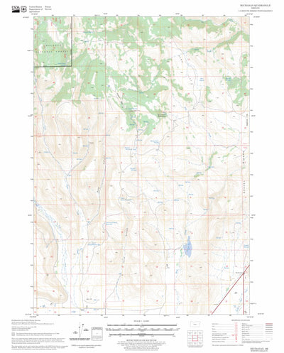 US Forest Service - Topo Buchanan, OR FSTopo Legacy digital map