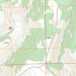 US Forest Service - Topo Buchanan, OR FSTopo Legacy digital map