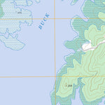 US Forest Service - Topo Buck Bay, TX FSTopo Legacy digital map