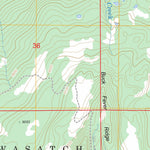 US Forest Service - Topo Buck Fever Ridge, WY FSTopo Legacy digital map