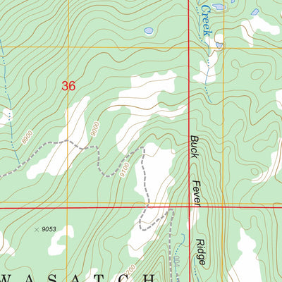 US Forest Service - Topo Buck Fever Ridge, WY FSTopo Legacy digital map