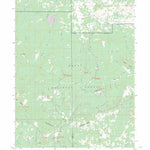 US Forest Service - Topo Buck Point, CO FSTopo Legacy digital map