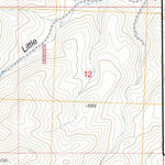 US Forest Service - Topo Buckhorn Canyon, ID FSTopo Legacy digital map