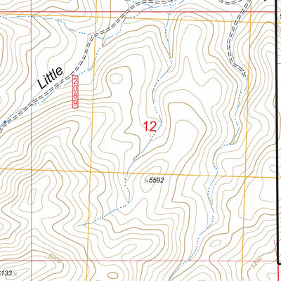 US Forest Service - Topo Buckhorn Canyon, ID FSTopo Legacy digital map