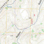 US Forest Service - Topo Buckhorn Canyon, ID FSTopo Legacy digital map