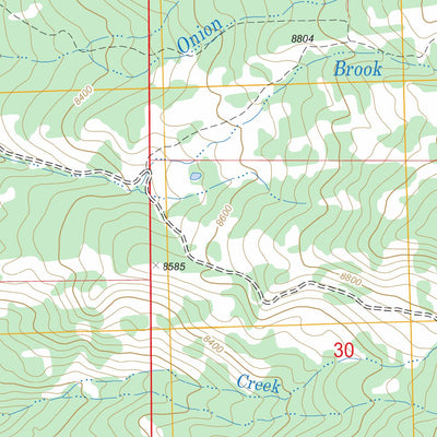 US Forest Service - Topo Buckhorn Lakes, CO FSTopo Legacy digital map
