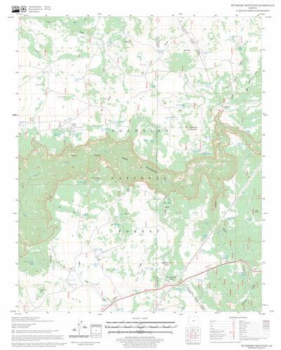 US Forest Service - Topo Buckhorn Mountain, AZ FSTopo Legacy digital map