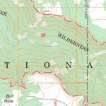 US Forest Service - Topo Buckhorn Mountain, AZ FSTopo Legacy digital map