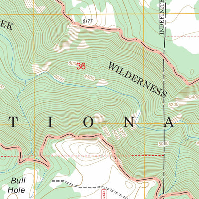 US Forest Service - Topo Buckhorn Mountain, AZ FSTopo Legacy digital map