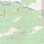 US Forest Service - Topo Buckhorn Mountain, CO FSTopo Legacy digital map
