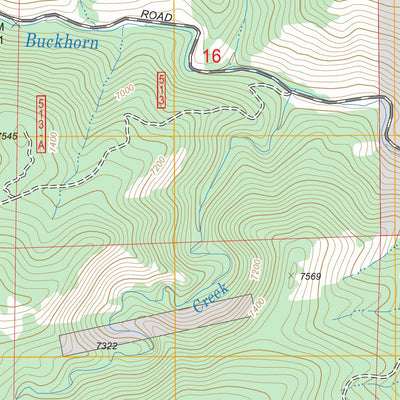 US Forest Service - Topo Buckhorn Mountain, CO FSTopo Legacy digital map